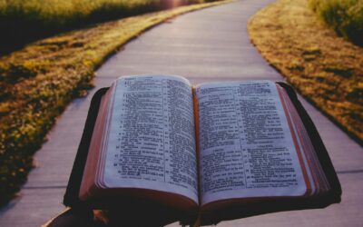 1689 10:1-4 Of Effectual Calling | Sam Waldron