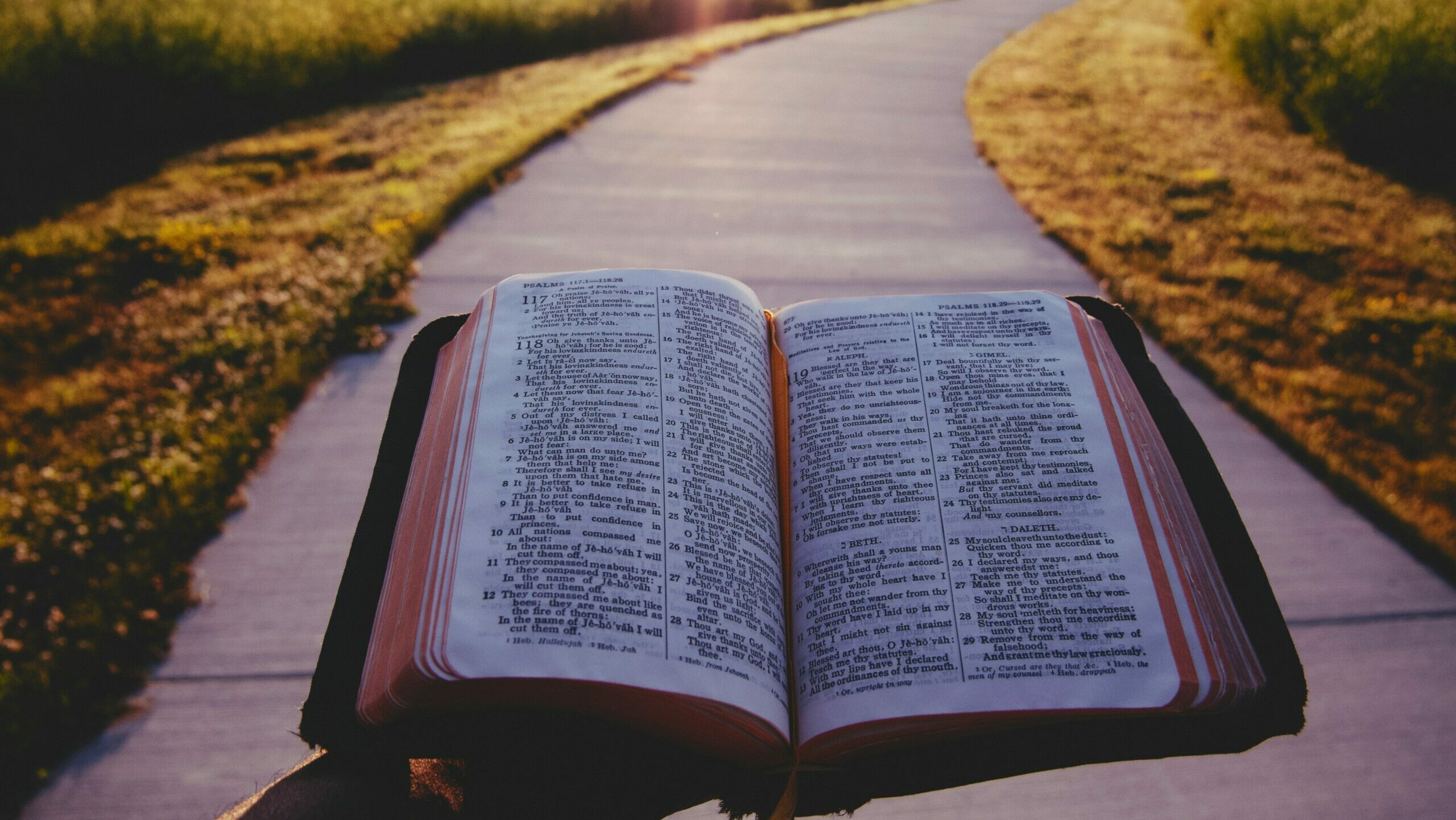 aaron-burden-4uX_r8OhJ_o-unsplash