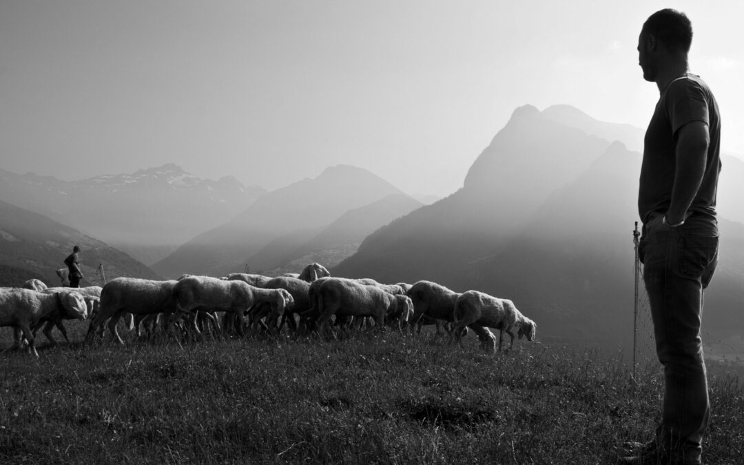 For the Love of His Church | Ryan Parsons