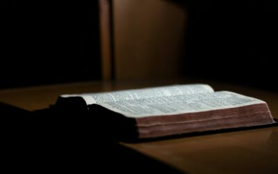Resources for Studying the Law and the Gospel | Jon English Lee