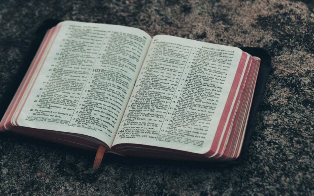 The Three Motions of Law and Gospel: Law, Gospel, Gospel Obedience | Tom Hicks