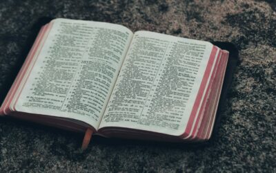 The Three Motions of Law and Gospel: Law, Gospel, Gospel Obedience | Tom Hicks