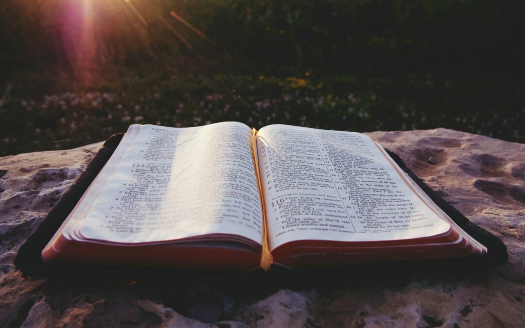 Christian Contentment | Justin Miller