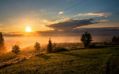 Where Is the Proof-Text for Cessationism? | Tom J. Nettles